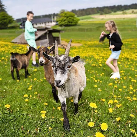 度假居 Modern Comfort