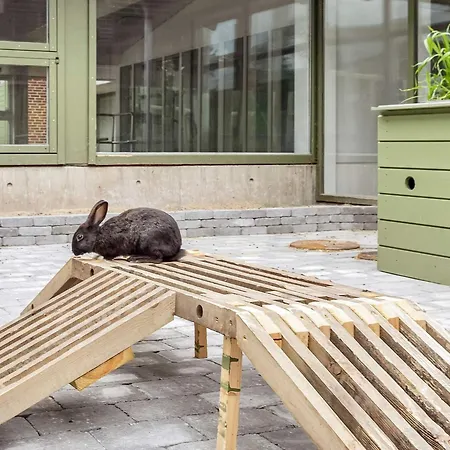 Modern Comfort 度假居 *